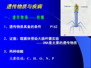 遗传物质和疾病文综.ppt