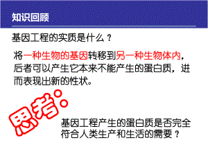选修三14蛋白质工程的崛起.ppt