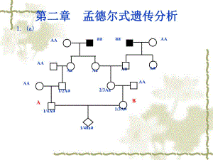 遗传学习题解答08.ppt
