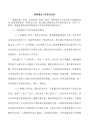 网络意识工作责任总结.docx