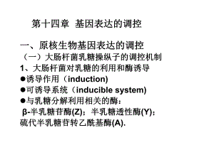 遗传学第十四章基因表达的调控.ppt