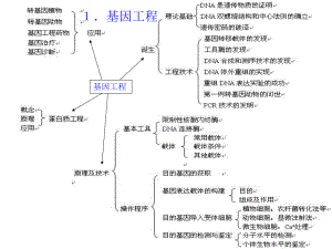 选修三复习网路wg.ppt