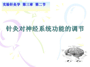 针灸对神经系统功能的调节.ppt