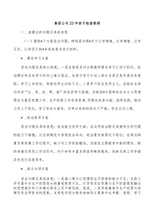 集团公司23年班子检查提纲.docx
