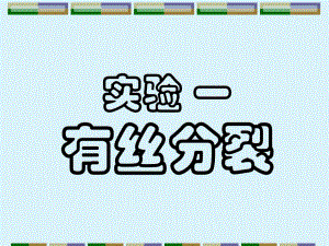 遗传实验1有丝分裂.ppt