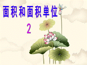 面积和面积单位2.ppt