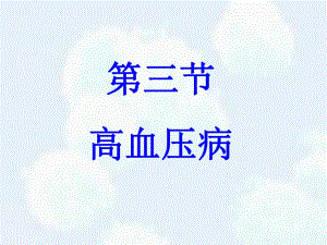 高血压病病理学.ppt