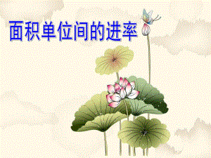面积单位间的进率.ppt
