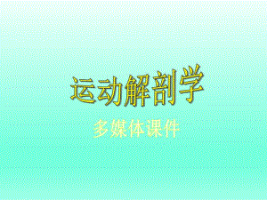 骨骼肌基础理论.ppt