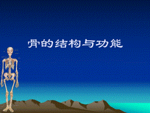 骨的结构和功能.ppt