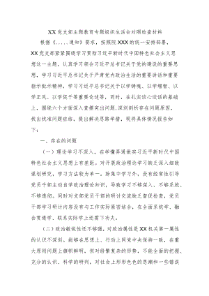 XX党支部主题教育专题组织生活会对照检查材料.docx