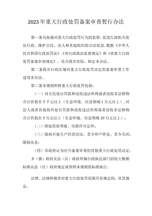 2023年重大行政处罚备案审查暂行办法.docx