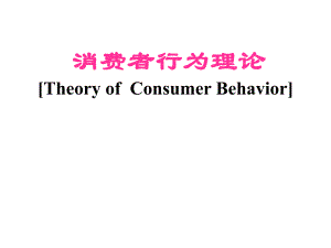 消费理论.ppt