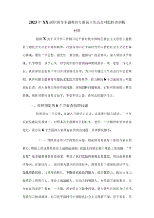 2023年XX副职领导主题教育专题民主生活会对照检查剖析材料.docx