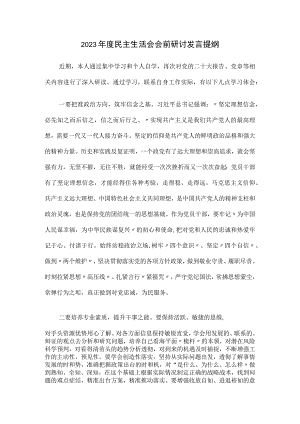 2023年度民主生活会会前研讨发言提纲.docx