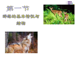 群落的基本结构与特征.ppt