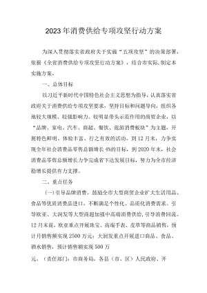 2023年消费供给专项攻坚行动方案.docx