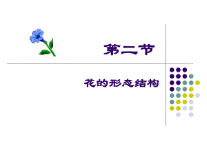 花的形态构造宁艳华.ppt