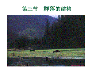 群落的结构上课课件.ppt