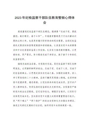 2023纪检监察干部队伍教育整顿心得体会研讨发言稿(九篇).docx