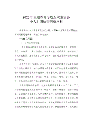 2023年党员干部主题教育专题组织生活会个人对照检查剖析材料.docx