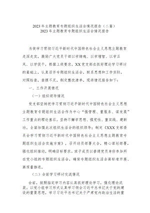 2023年主题教育专题组织生活会情况报告(二篇).docx