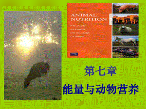 能量与动物营养.ppt