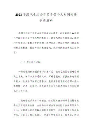 2023年组织生活会党员干部 个人对照检查剖析材料.docx