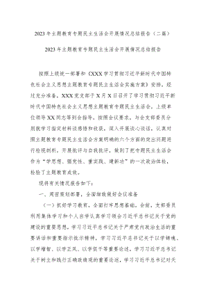 2023年主题教育专题民主生活会开展情况总结报告(二篇).docx