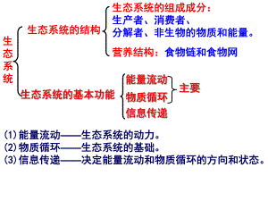 能量流动一轮复习新泰一中.ppt