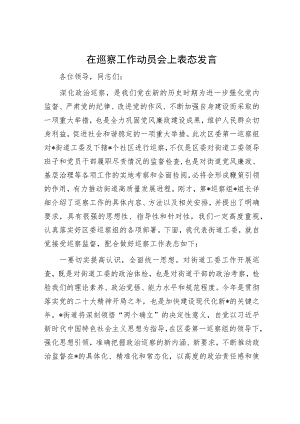 在巡察工作动员会上表态发言.docx