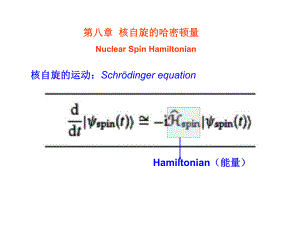 自旋动力学第八章核自旋的哈密顿量.ppt