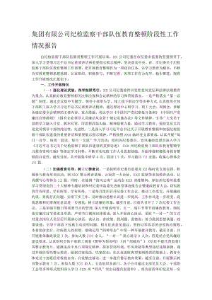 集团有限公司纪检监察干部队伍教育整顿阶段性工作情况报告.docx