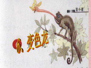 苏教版小学五上变色龙课件.ppt