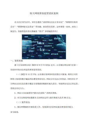 特大网络黑客犯罪团伙案例（2023年）.docx