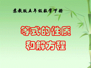 苏教版五下等式的性质和解方程一.ppt