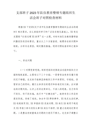 支部班子2023年队伍教育整顿专题组织生活会班子对照检查材料.docx