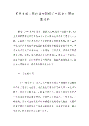 某党支部主题教育专题组织生活会对照检查材料.docx