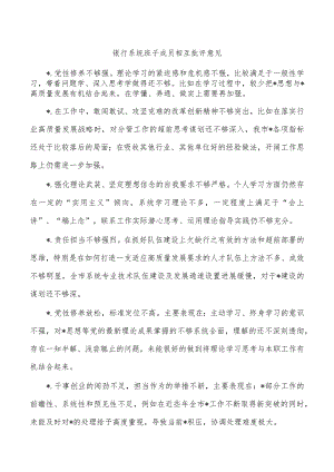 银行系统班子成员相互批评意见.docx