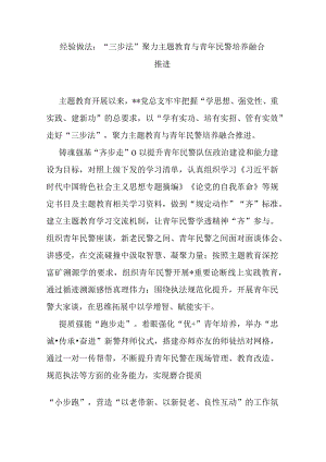 经验做法：“三步法”聚力主题教育与青年民警培养融合推进.docx