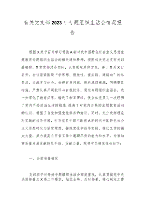 有关党支部2023年专题组织生活会 情况报告.docx