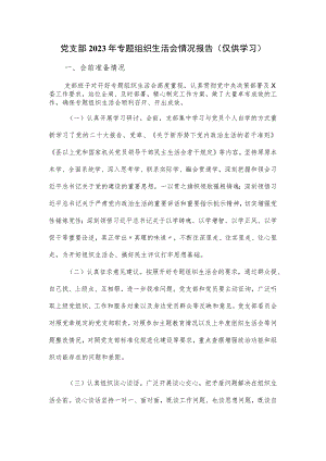 党支部2023年专题组织生活会情况报告.docx