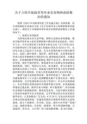 关于立即开展豚草等外来有害物种清除整治的通知.docx