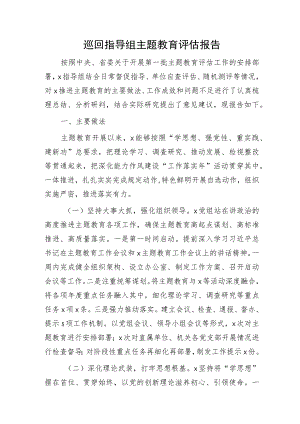巡回指导组主题教育评估报告（总结4300字）.docx