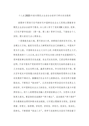 个人在2023年度专题民主生活会会前学习研讨发言提纲.docx