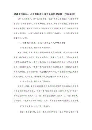 党建工作材料：企业青年成长成才全面转型发展.docx