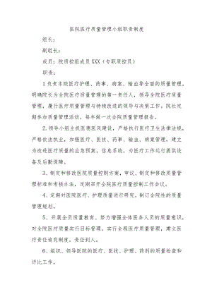 医院医疗质量管理小组职责制度.docx