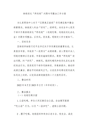 持续深化“两违规”问题专项整治工作方案.docx