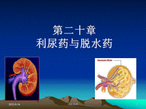 西医药理学第二十章利尿药和脱水药.ppt
