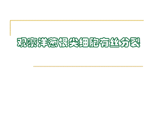 观察洋葱根尖细胞的有丝分裂.ppt